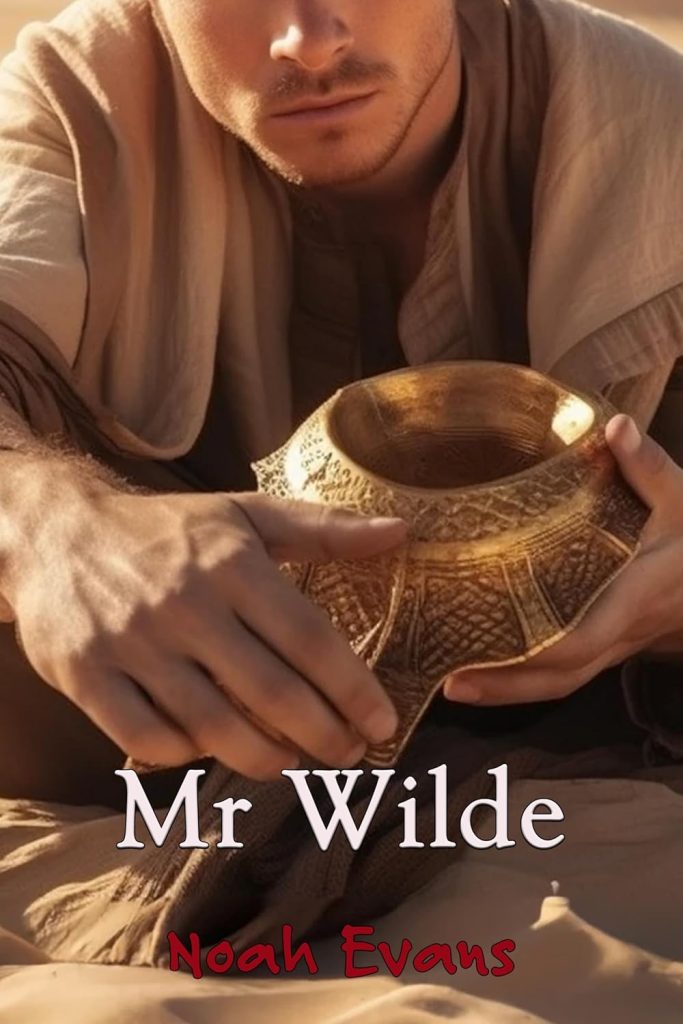Mr Wilde Mr Wilde