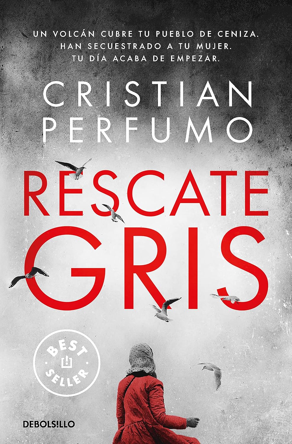 Ebookelo Rescate gris