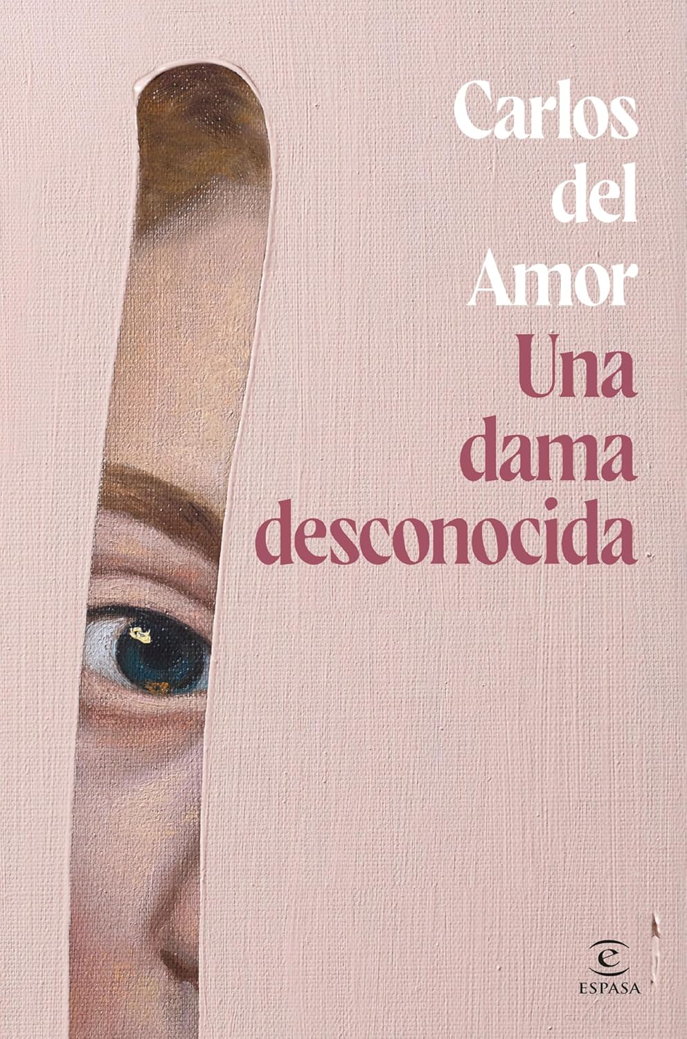 Ebookelo Una dama desconocida